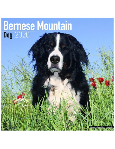 Calendars with guard and defence dogs - Record