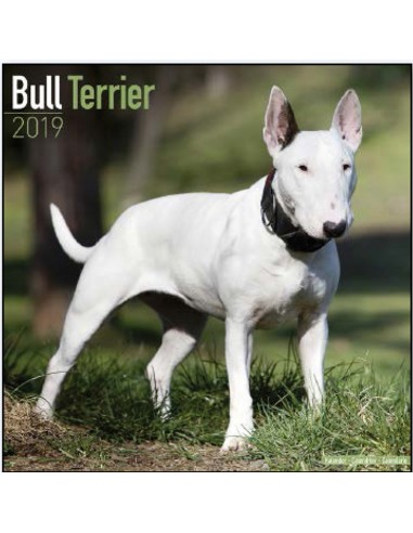 Calendars with guard and defence dogs - Record