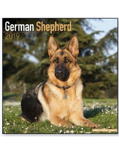 Calendars with guard and defence dogs - Record