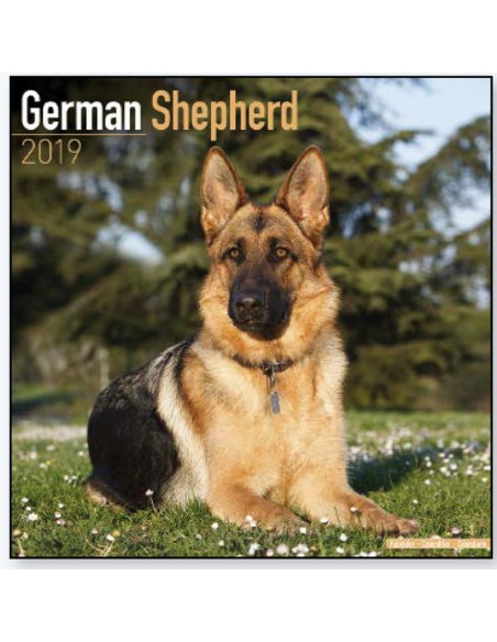 Calendars with guard and defence dogs - Record