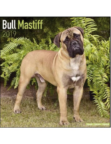 Calendars with guard and defence dogs - Record