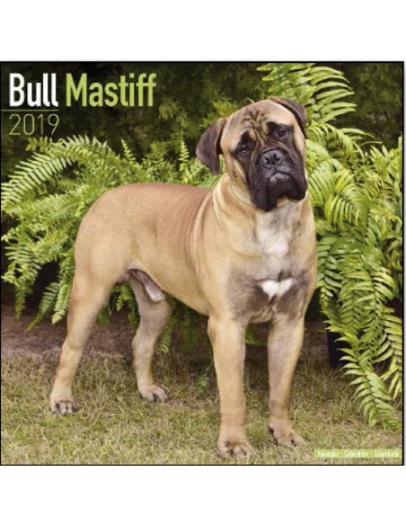 Calendars with guard and defence dogs - Record