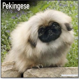 Calendars with guard and defence dogs - Record