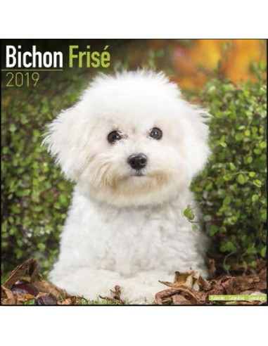 Calendars with guard and defence dogs - Record