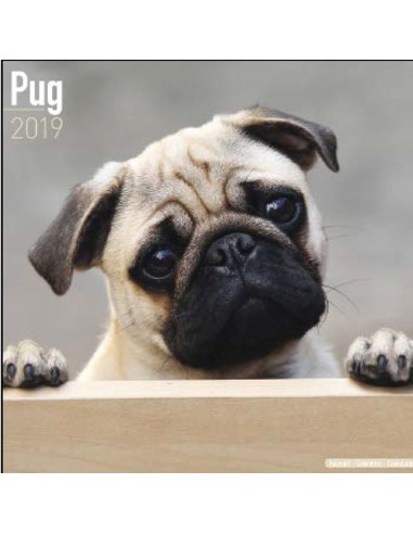 Calendars with guard and defence dogs - Record