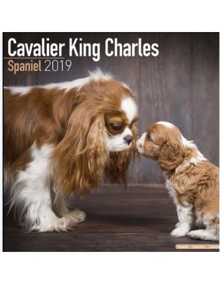 Calendari con cani di piccola taglia e cuccioli - Record