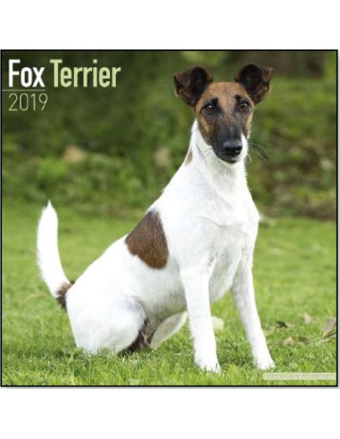 Calendars with guard and defence dogs - Record