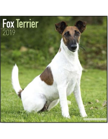 Calendars with guard and defence dogs - Record