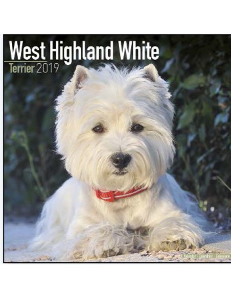 Calendars with guard and defence dogs - Record