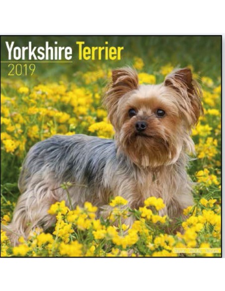 Calendars with guard and defence dogs - Record