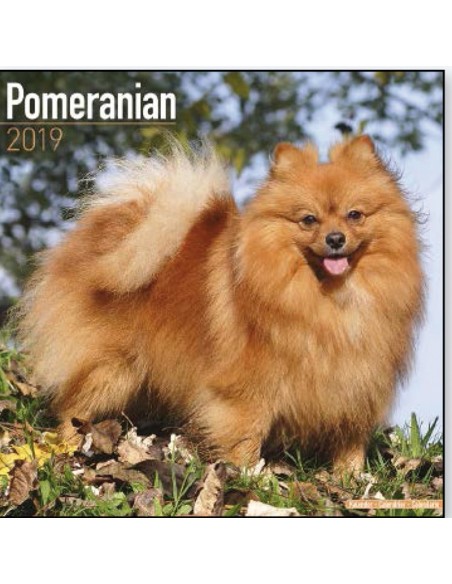 Calendars with guard and defence dogs - Record