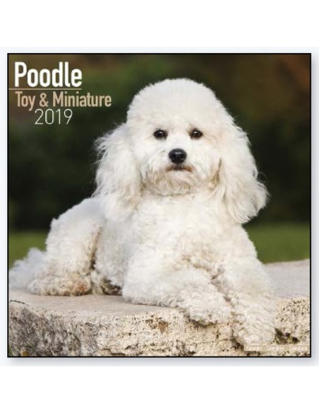 Calendars with guard and defence dogs - Record