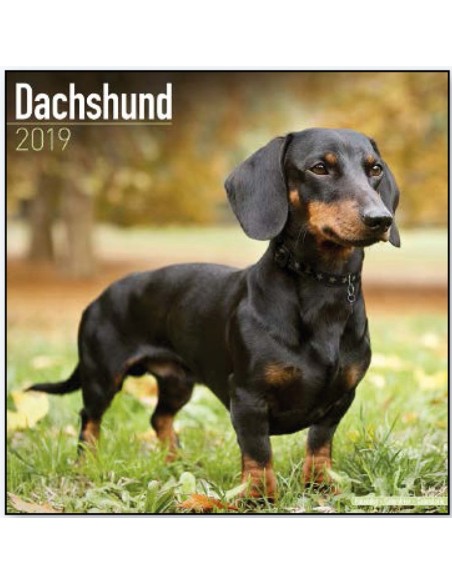 Calendars with hunting dogs - Record