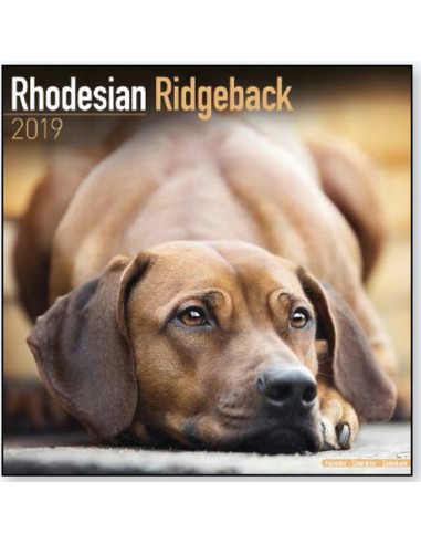 Calendars with hunting dogs - Record