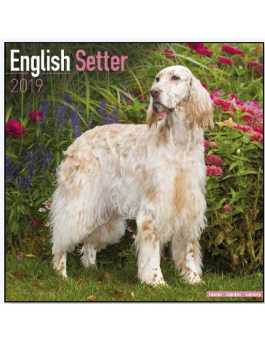 Calendars with hunting dogs - Record