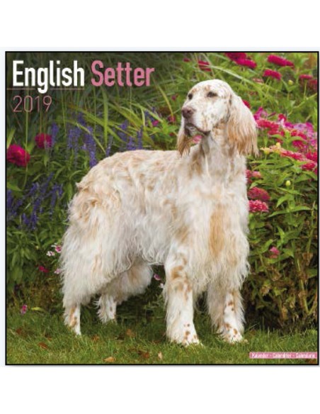 Calendars with hunting dogs - Record