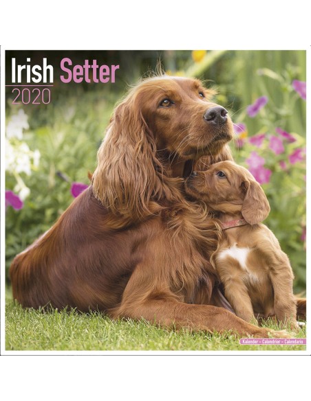 Calendars with hunting dogs - Record