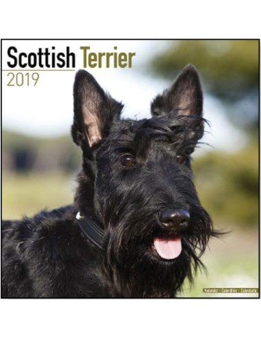 Calendars with hunting dogs - Record