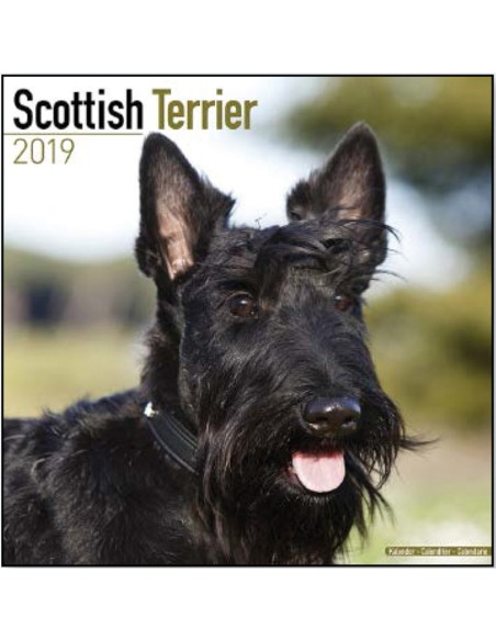 Calendars with hunting dogs - Record