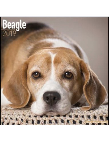 Calendars with hunting dogs - Record