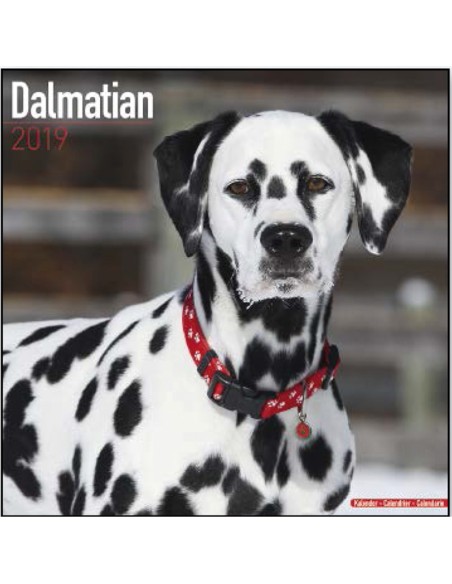 Calendars with hunting dogs - Record