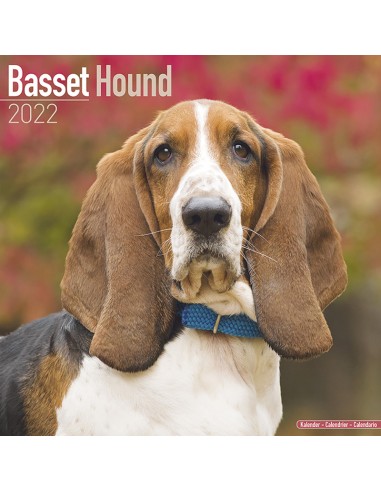 Calendars with hunting dogs - Record