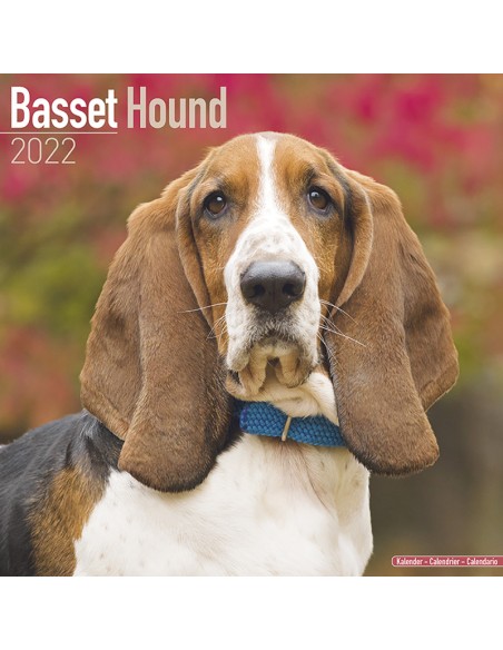 Calendars with hunting dogs - Record