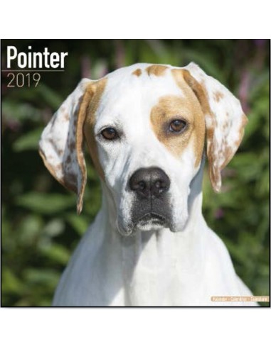 Calendari con cani da caccia - Record