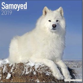 Calendars with medium sized/ big dogs - Record