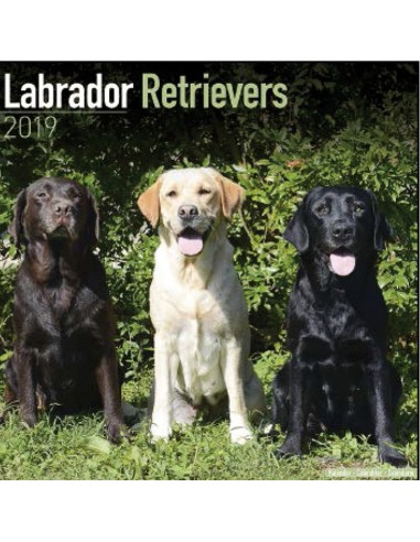 Calendars with medium sized/ big dogs - Record