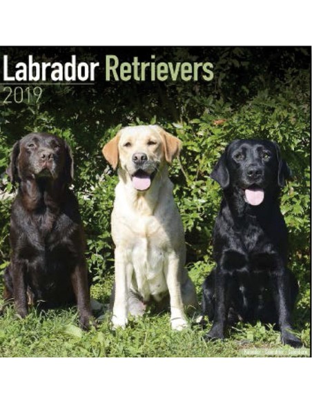 Calendars with medium sized/ big dogs - Record