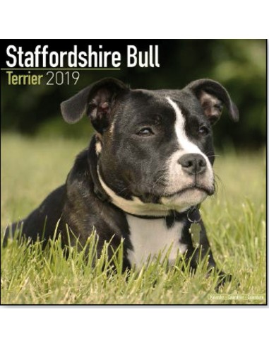 Calendars with medium sized/ big dogs - Record