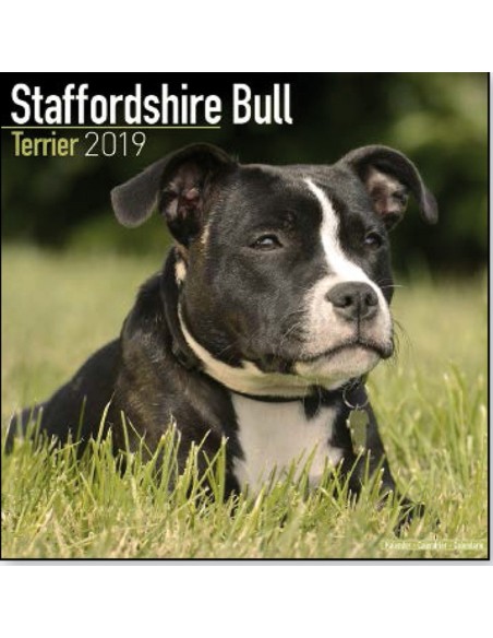 Calendars with medium sized/ big dogs - Record