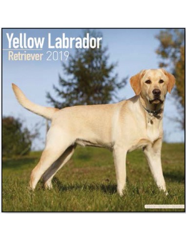 Calendari con cani da compagnia taglia media/grande - Record