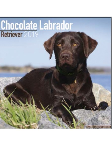 Calendars with medium sized/ big dogs - Record