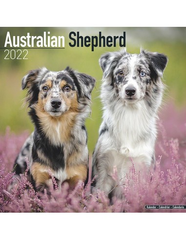 Calendari con cani da compagnia taglia media/grande - Record