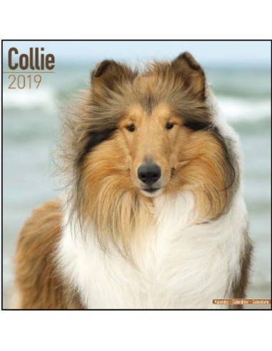 Calendari con cani da compagnia taglia media/grande - Record