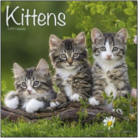 Calendars with cats - Record
