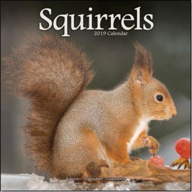 Calendars with rodents - Record
