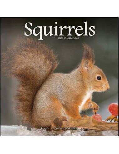 Calendars with rodents - Record