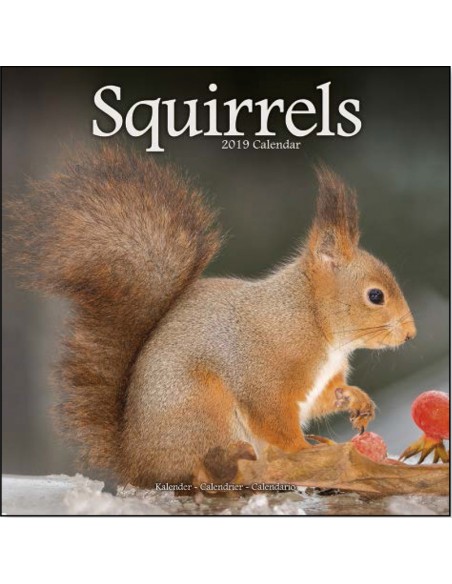 Calendars with rodents - Record