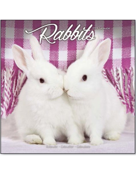 Calendars with rodents - Record