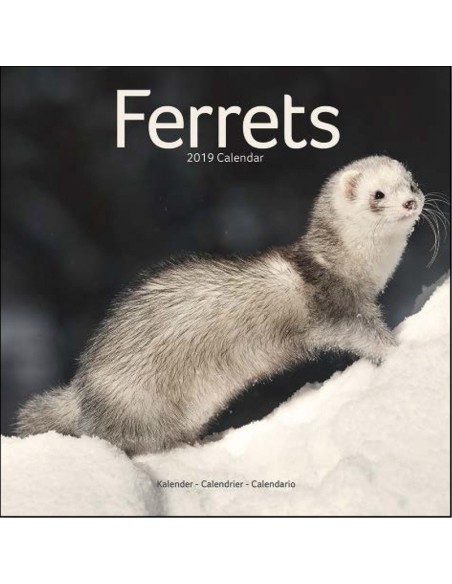 Calendars with rodents - Record