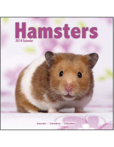 Calendars with rodents - Record