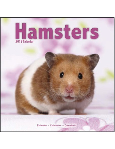 Calendars with rodents - Record