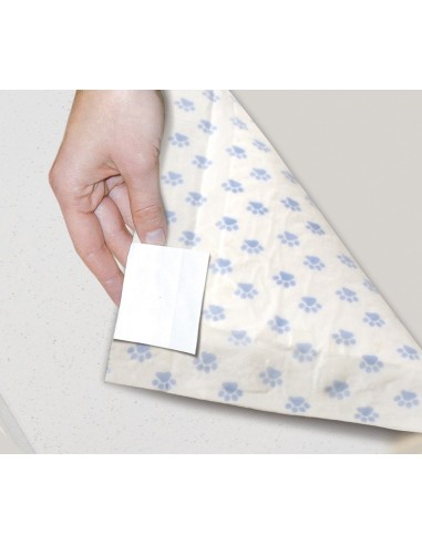 Assorbipiù puppy pads 60 x 60 cm with activated charcoal - Record