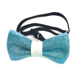 Papillon per cani - Record