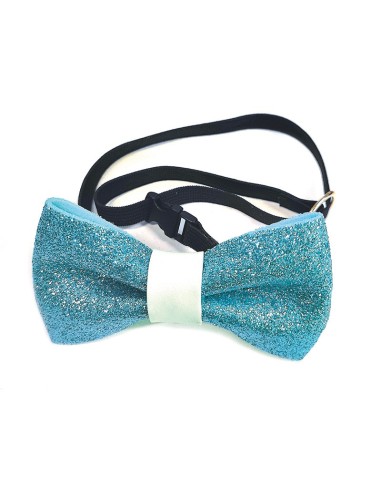 Bow tie for dogs - Record