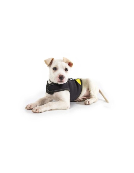 Cappottino in neoprene Julius-K9 per cani - Julius K9