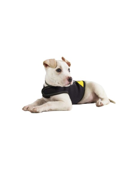 Coat Julius-K9 for dogs - Julius K9